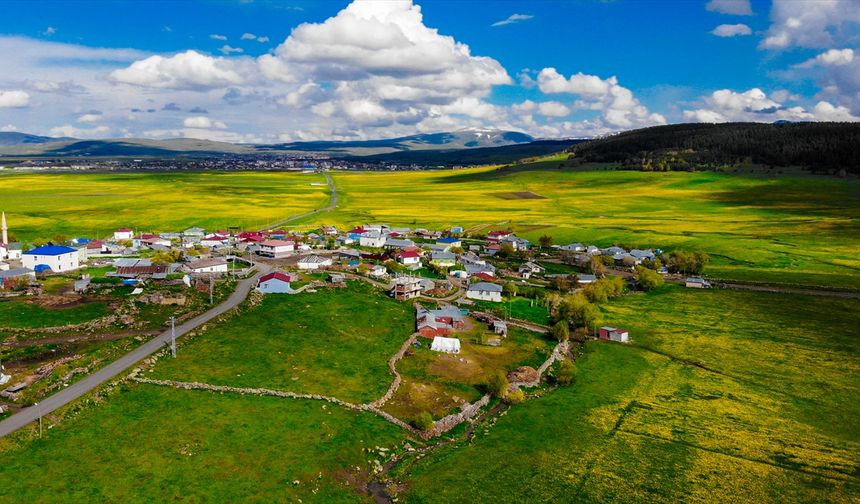 Ardahan'ın köyleri baharın renklerine büründü