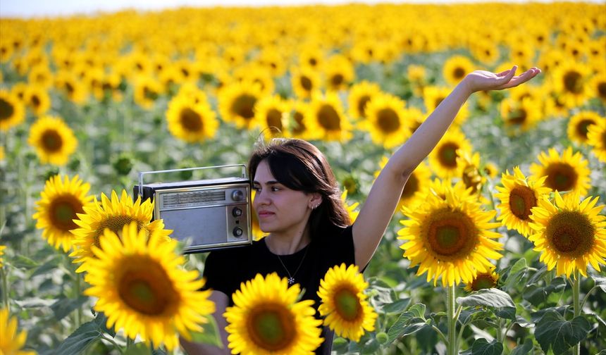 Trakya'da "gündöndü" tarlaları agro turizmine katkı sunuyor