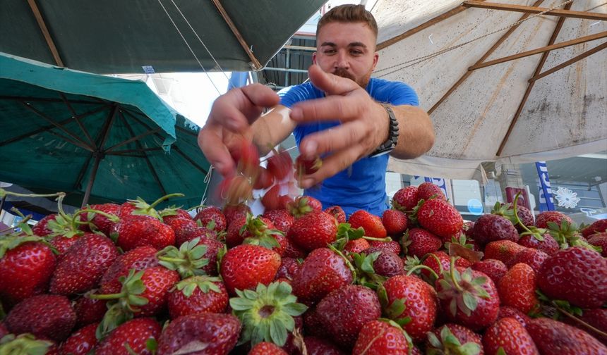 Tire'nin tarihi ilçe pazarı turistik çekim merkezi oldu