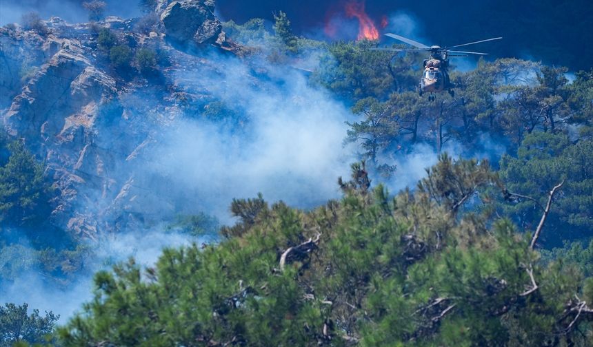 İzmir'deki orman yangınına havadan ve karadan müdahale