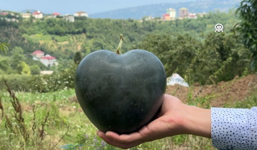 Karadenizli Temel'in talihi şekilli karpuzla değişti