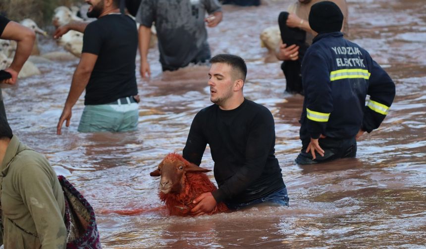 Asırlardır devam eden gelenek: 'Sudan koyun geçirme'