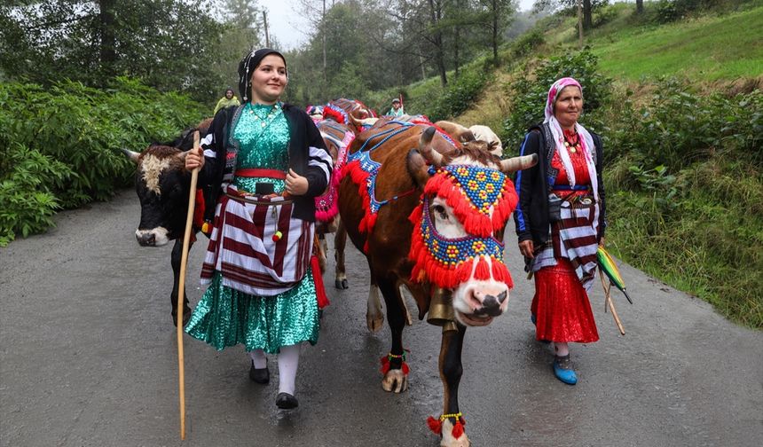 Doğu Karadeniz yaylalarında besicilerin dönüşü başladı