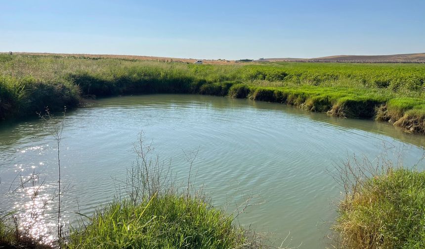 Harran Ovası'nda oluşan obruklar korkutuyor