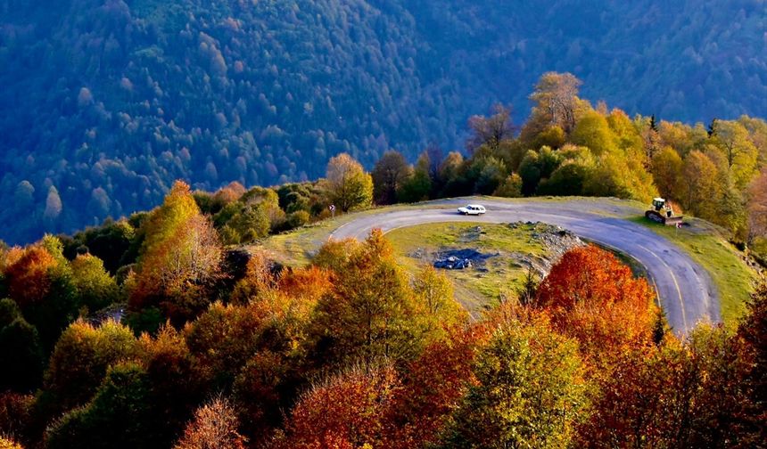 Borçka Karagöl Tabiat Parkı 600 binden fazla turisti ağırladı