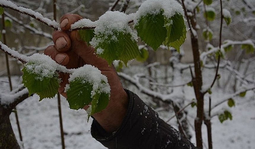 Meteorolojiden zirai don uyarısı!