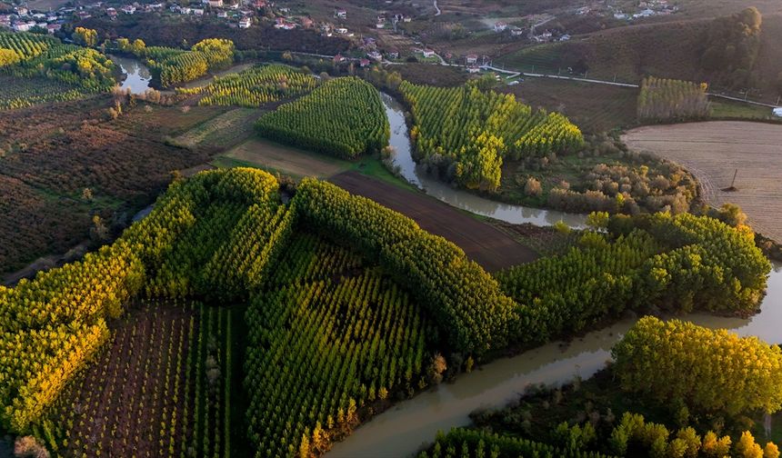 Melen Çayı Havzası sonbaharın renklerini kuşandı