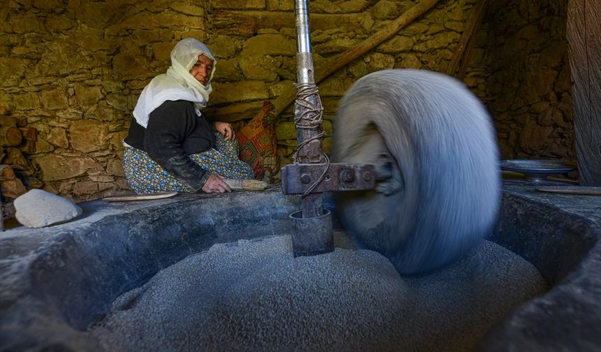 150 yıllık değirmende pirinç üretimi