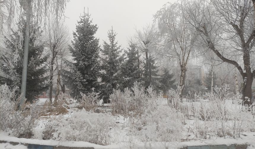 Sibirya soğukları Ardahan'ı dondurdu