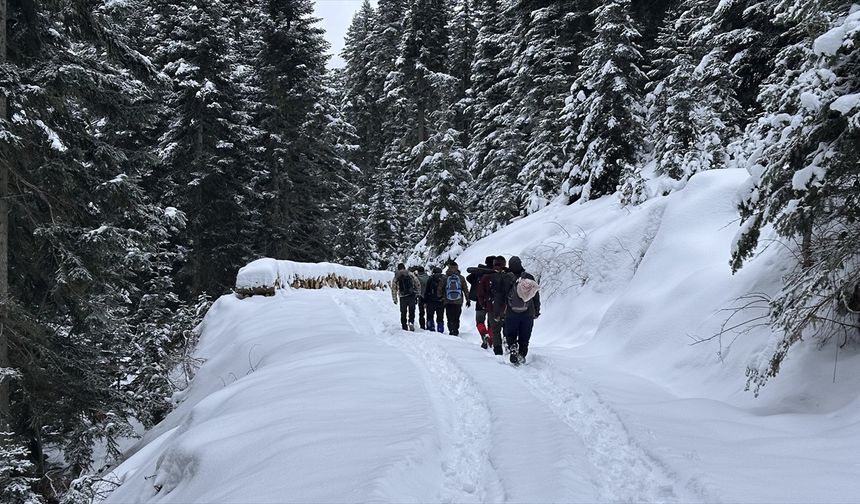 Ilgaz Dağı doğa tutkunlarını cezbediyor!