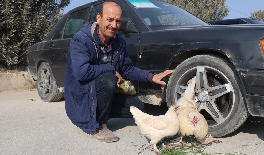 Tekerleğe bağladığı horoz ve tavuğuyla arabayı satışa çıkardı!