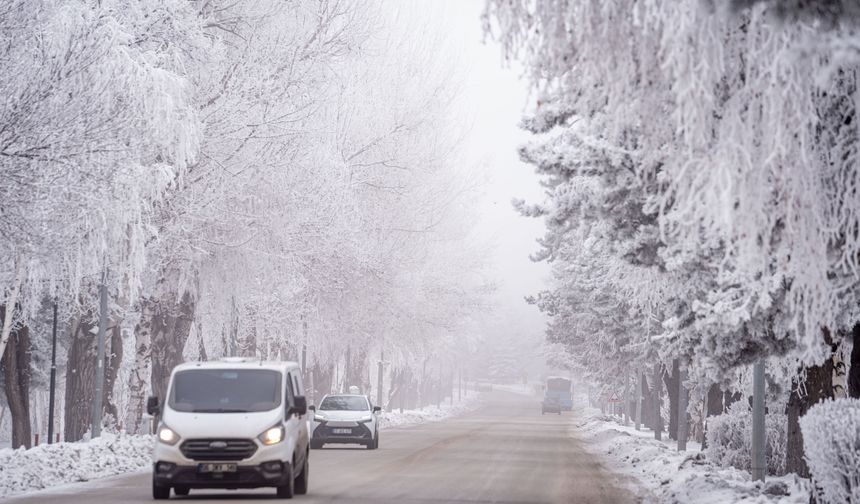 Erzurum'un ilçesi Tekman: Eksi 24,9 ile dondu!