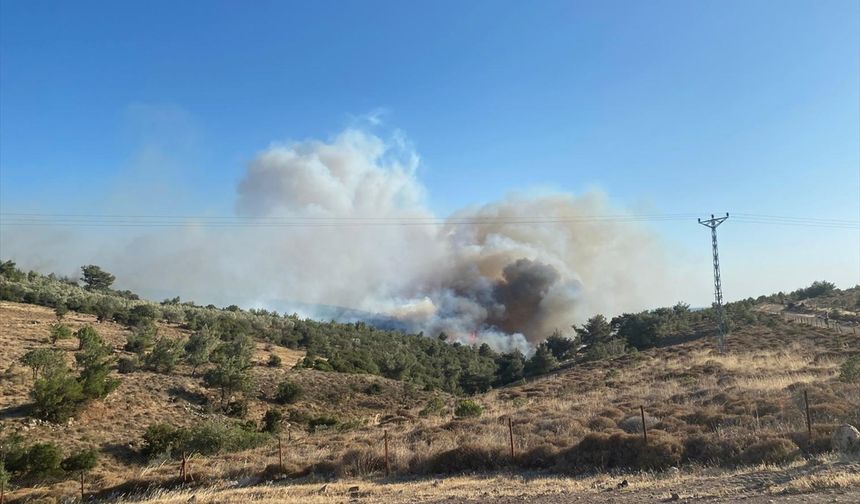 Çanakkale'deki yangın söndürülemiyor