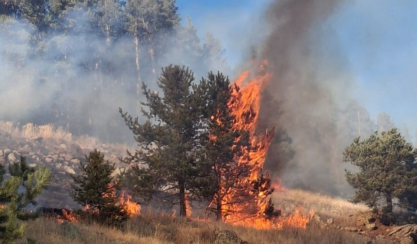 Erzurum'daki yangın kontrol altına alındı
