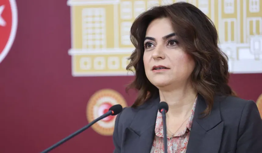 DEM Parti'den İmralı tutanaklarına tepki