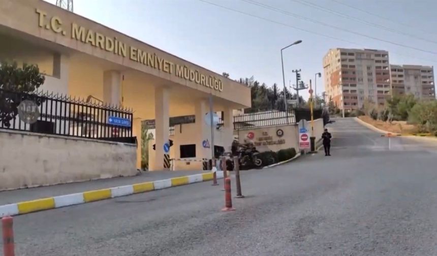 Mardin'de ceza yağdı