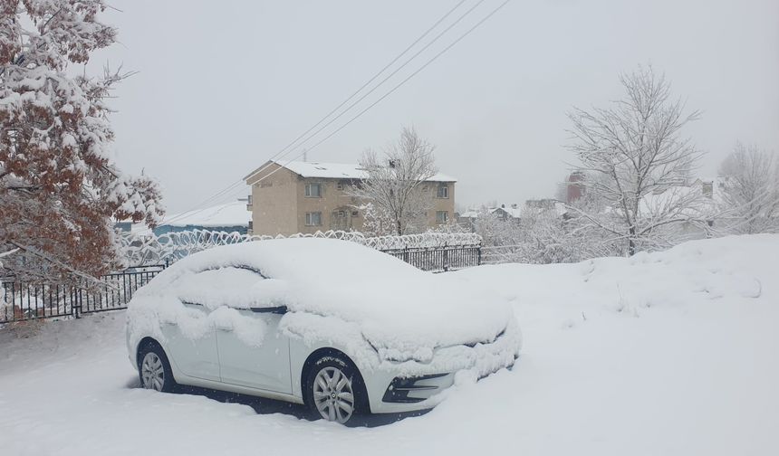 Başkale'de araçlar kara gömüldü