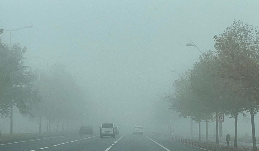 Diyarbakır’da göz gözü görmüyor