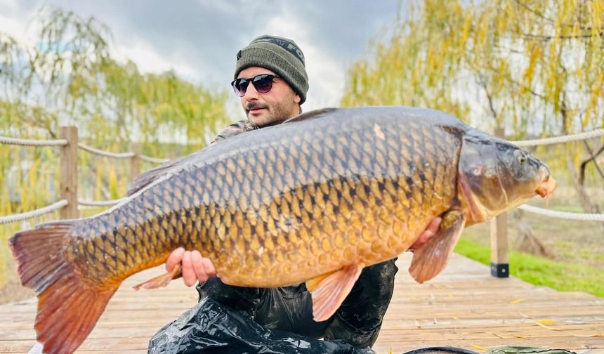 Dev sazanı görenler gözlerine inanamadı