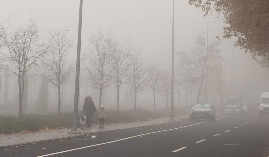 Diyarbakır'da sis hakim