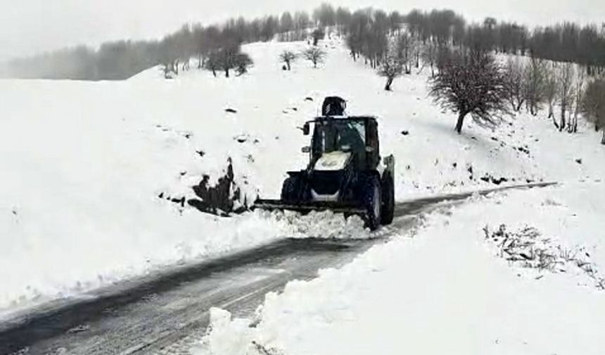 Muş'ta kar ve tipi yolları kapattı