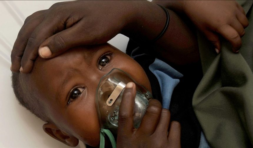 Lassa ateşi nedeniyle ölenlerin sayısı 185'e yükseldi!