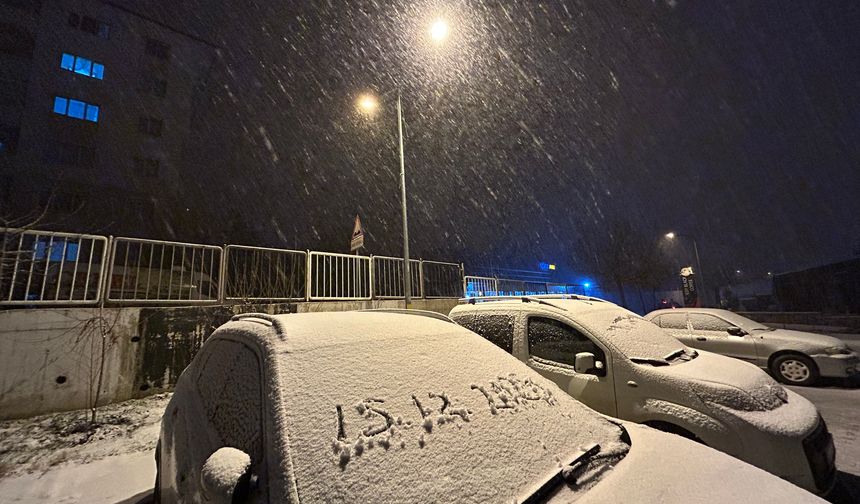 Van beyaz örtüyle kaplandı