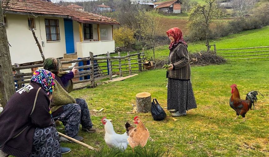 Türkiye'de köy sayısı 18 bin 215 olarak kayıtlara geçti!