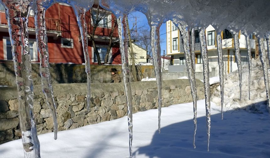 Kars ve Ardahan'da hayat dondu!