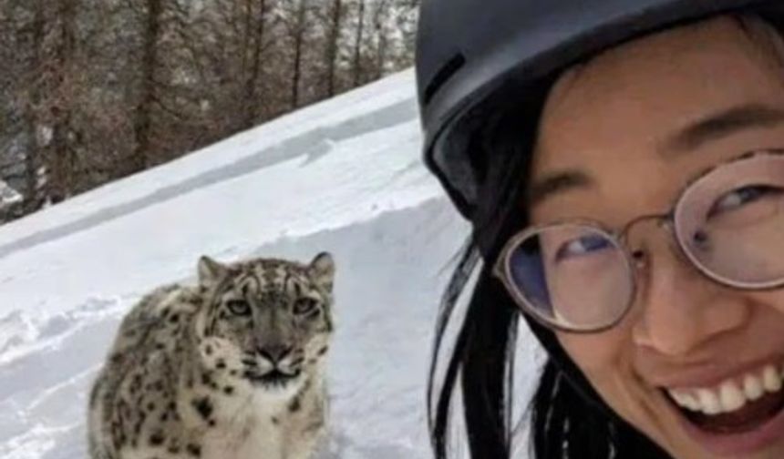 Leoparla selfie çekmek istedi, ölümden son anda kurtuldu