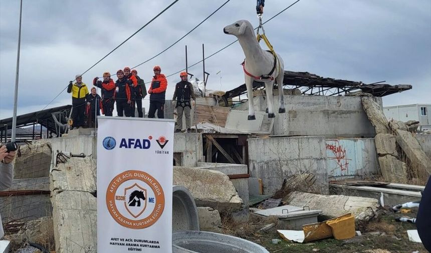 AFAD'dan hayvanların korunmasına yönelik uluslararası proje!