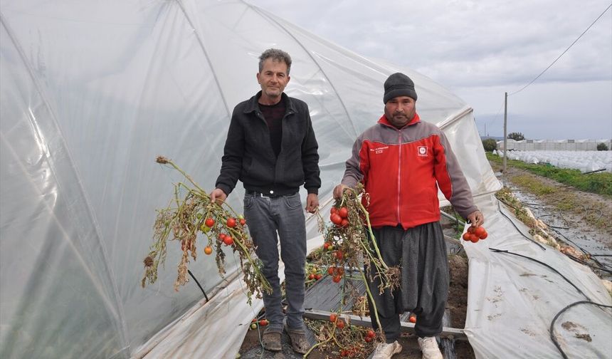 Mersin'de 150 dönüm serayı dolu vurdu!