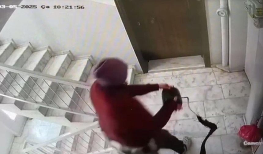 Apartman sakinlerine 'raporlu' zulüm!