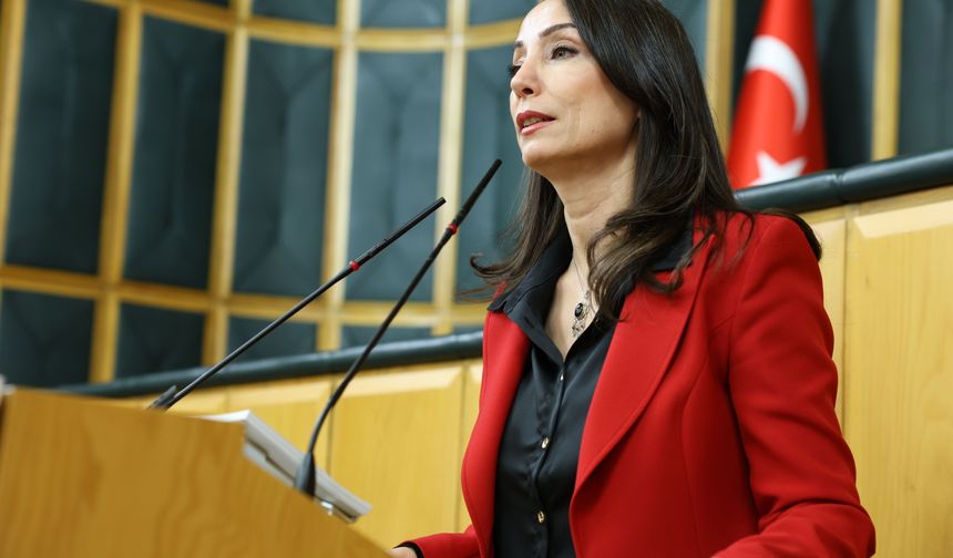 Tülay Hatimoğulları: Siyasi mahkumlar serbest bırakılsın