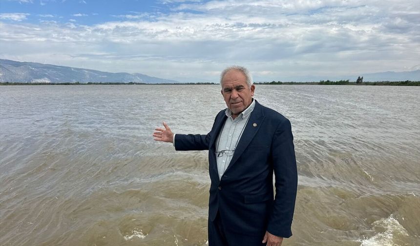 Menderes Nehri taştı, tarım arazileri su altında kaldı!