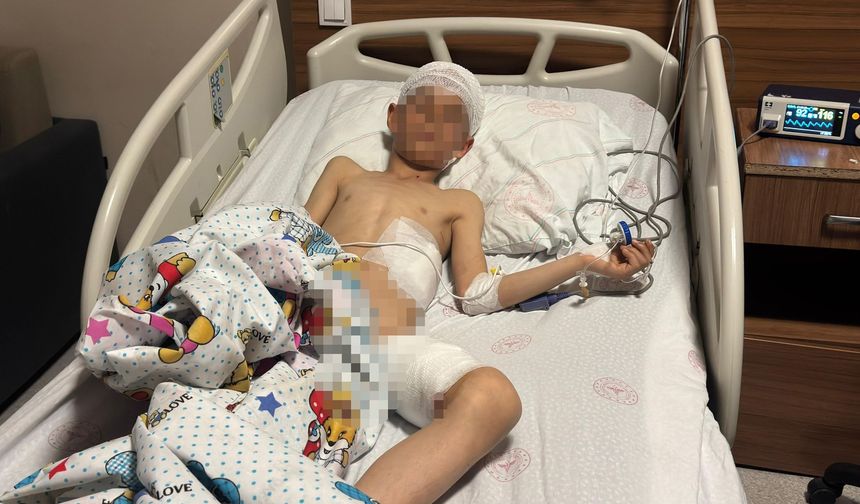 Van’daki köpek dehşetinde kan donduran detaylar