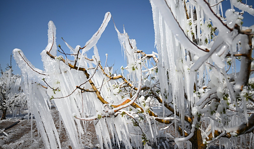 Ankara Valiliği zirai don uyarısı yaptı!