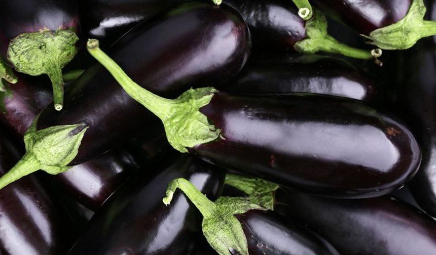 Martta fiyatı en çok artan ürün yüzde 55,94 ile patlıcan oldu!