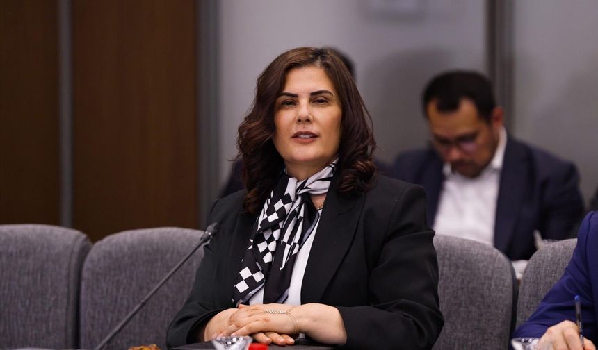 Özlem Çerçioğlu, AK Parti toplantısında