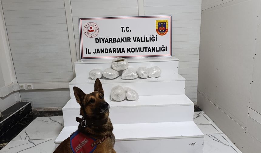 Diyarbakır'da narkotik operasyonu!