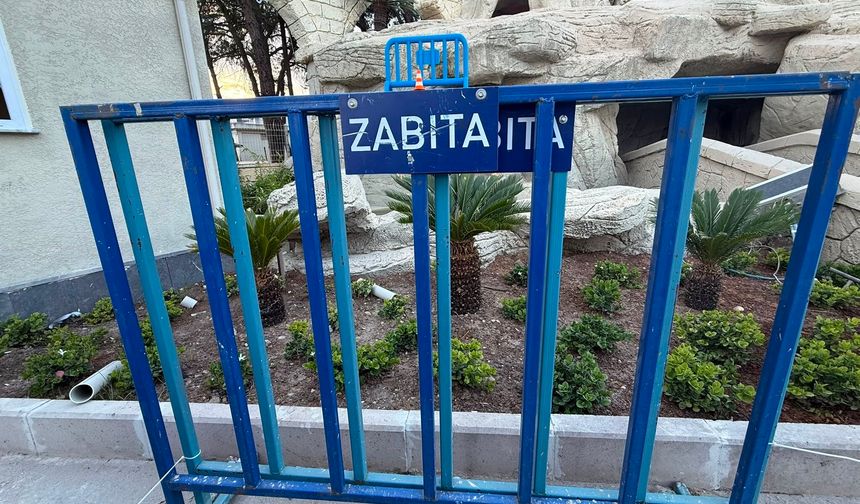 Zabıta damada mesai arkadaşlarından koruma kalkanı