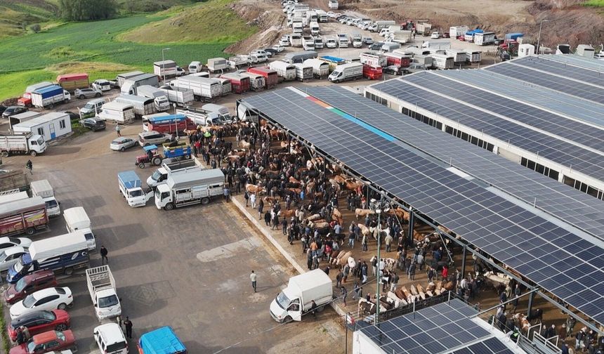 İç Anadolu'nun en büyük kurban pazarı tıklım tıklım!