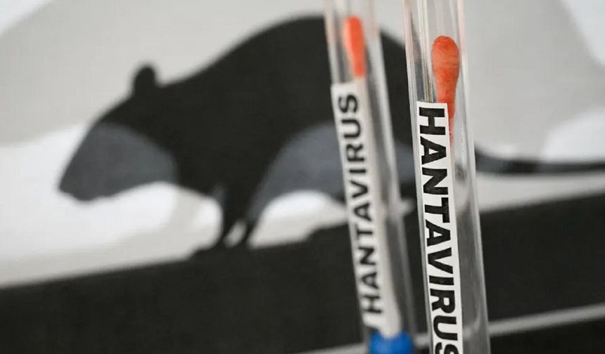 İspanya’da şüpheli bir hantavirüs vakası bildirildi
