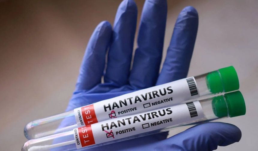 Avrupa İlaç Ajansı: Hantavirüs için onaylı tedavi ve aşı yok!