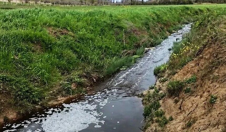 Sinop’ta çevreyi kirleten tesise 1.6 milyon TL ceza