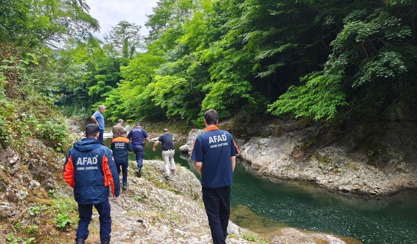 Ordu'da dereye giren kişi boğuldu