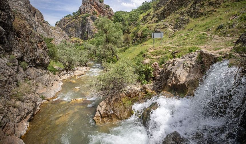 Tunceli’nin saklı cenneti: Rabat Vadisi
