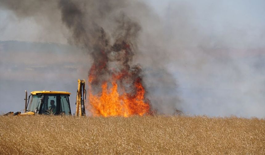 Tekirdağ'da buğday ekili tarlada çıkan yangına müdahale ediliyor