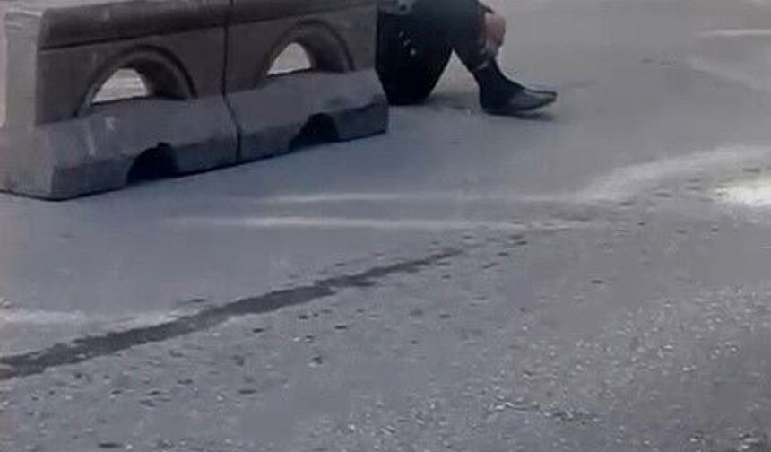 Dakikalarca yol ortasında hareketsizce durdu