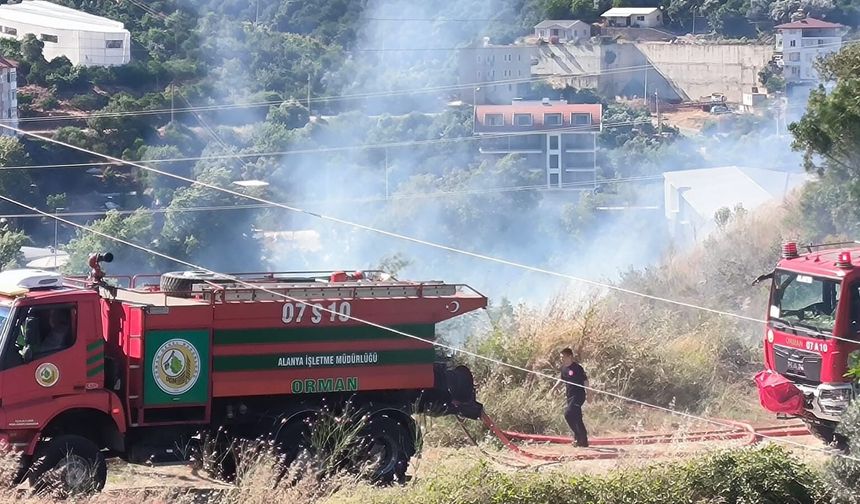 Alanya'da zirai alanda büyük yangın!